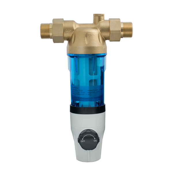 Filtru apa, cu autocuratare Aquapur 87210008040, 90 mcr, 1”